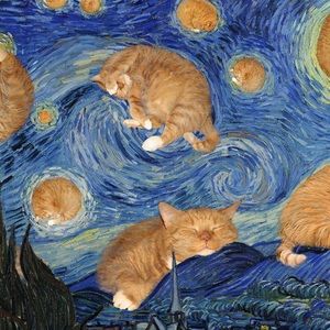 Meet your Posher, Naz